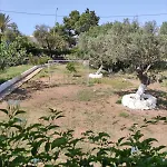 - Detached House For Families & Group Of Friends * 波多河丽