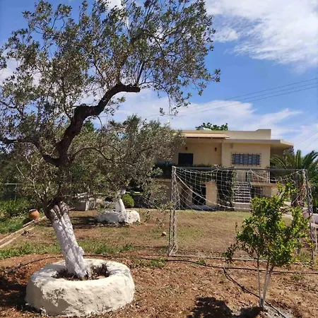 - Detached House For Families & Group Of Friends *